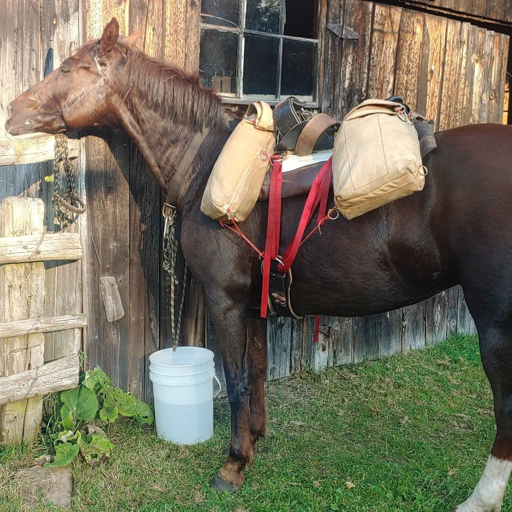Custom Colour Tank Bag in 3 Sizes